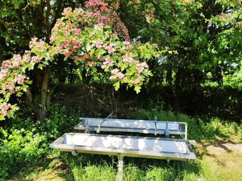 Bed & Breakfast Naturskolen Gedser
