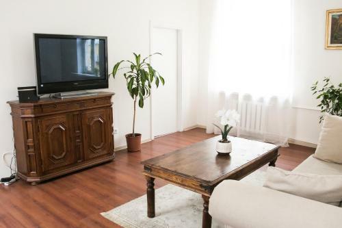 Vintage Style Spacious Apartment