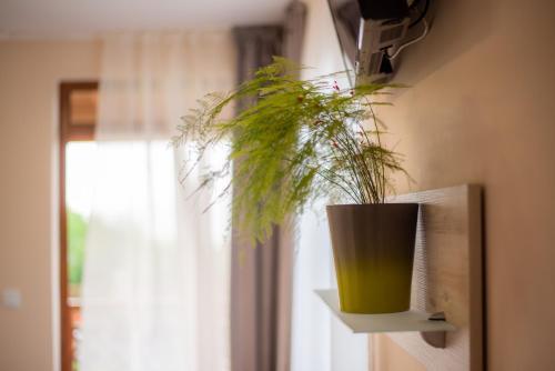 Apartamento ???? ?? ????? Forest Dream