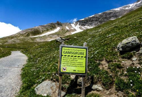 Hostal Landhaus Alpenrose - Feriendomizile Pichler