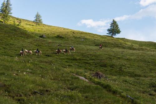 Hostal Landhaus Alpenrose - Feriendomizile Pichler