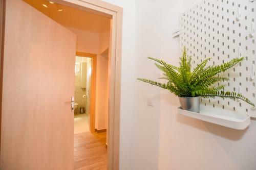 Apartments Milena 8