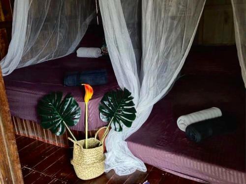 Posada Harrera Perhentian, Long Beach
