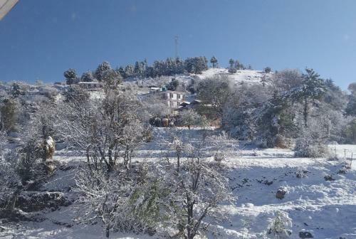 Bed & Breakfast Bhavik Palace