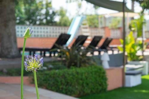 Soleia Holidays