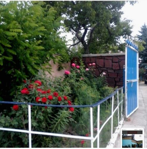 Hostal ???????? Kg