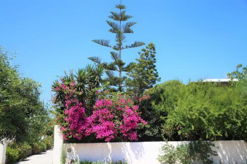 Apartamento Pension Ioanna