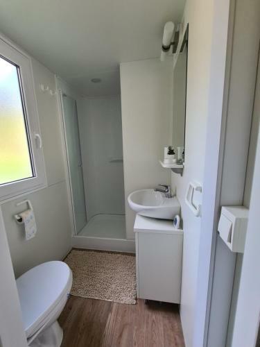 Kalina Mobile Home Soline