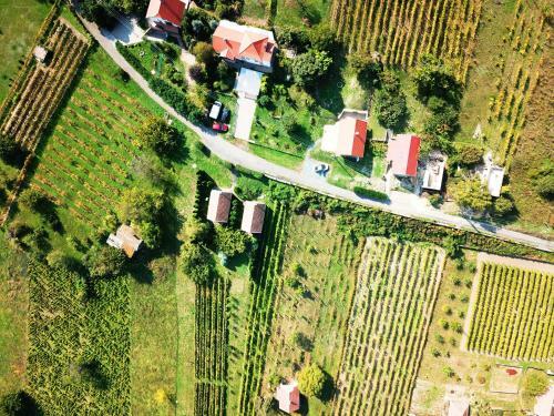 Vulcan Wine Resort Zenit Vend�gh�z