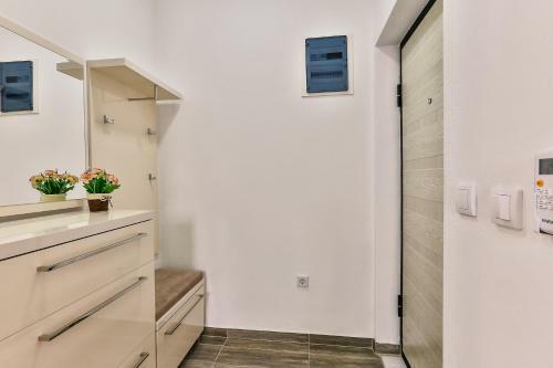 Lux Apartmani Djukic