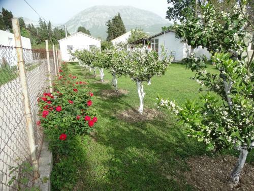 Apartman Zorana