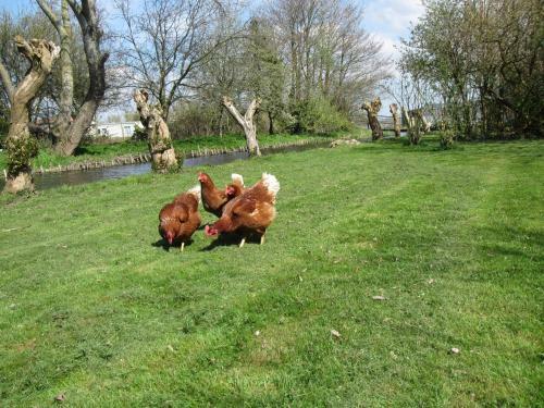 Bed&brood De Straverdonk