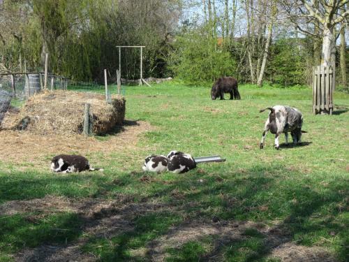 Bed&brood De Straverdonk