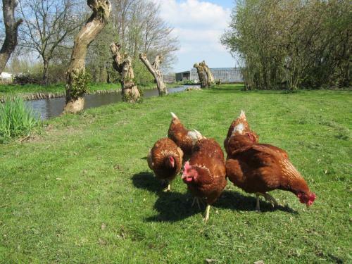 Bed&brood De Straverdonk