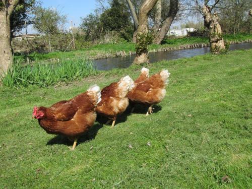 Bed&brood De Straverdonk