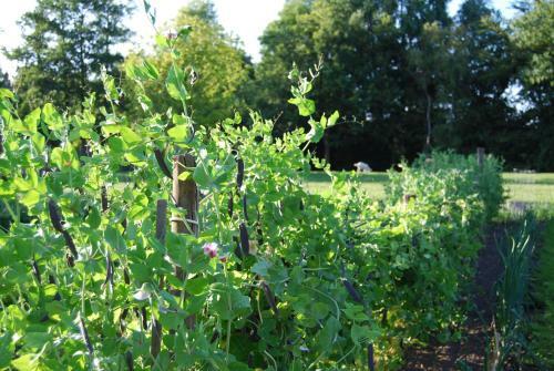 Bed&brood De Straverdonk