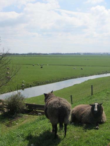 Bed&brood De Straverdonk