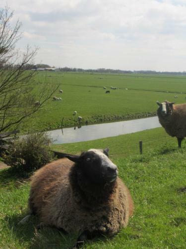 Bed&brood De Straverdonk