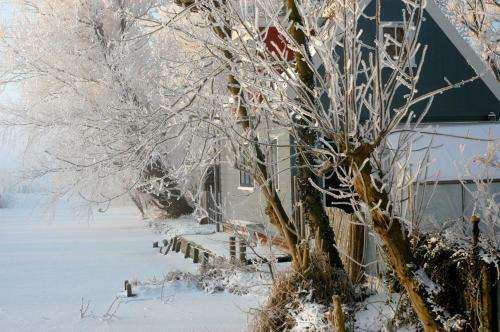 Amsterdam Country Cottage