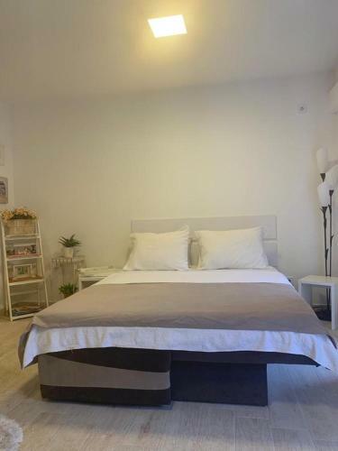 Olive Grove Apartment