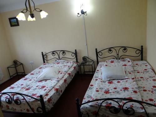 Hostal Pensiunea Lacul Albesti