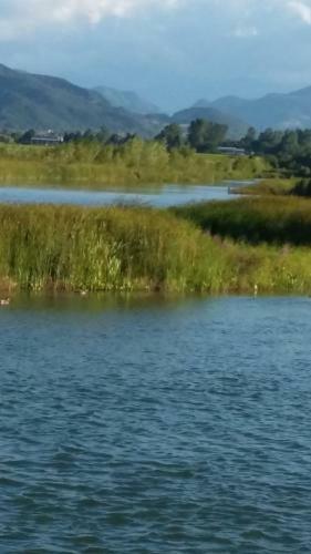 Hostal Pensiunea Lacul Albesti