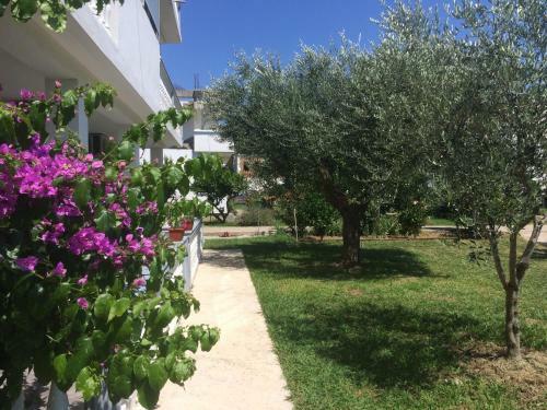 Kollari Apartments