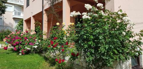 Villa Persik