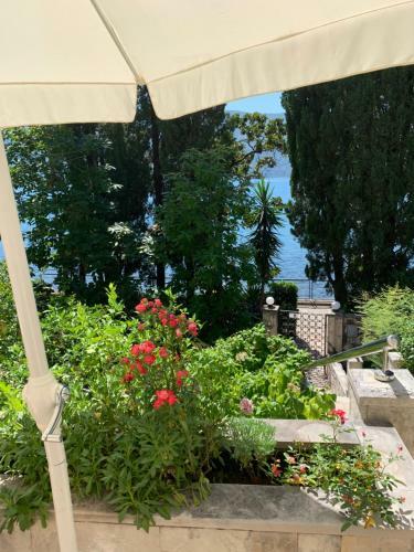 Apartamento Beach Front-obala