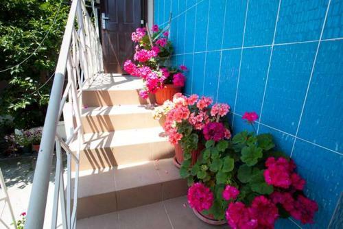 Hostal Mila Guest House