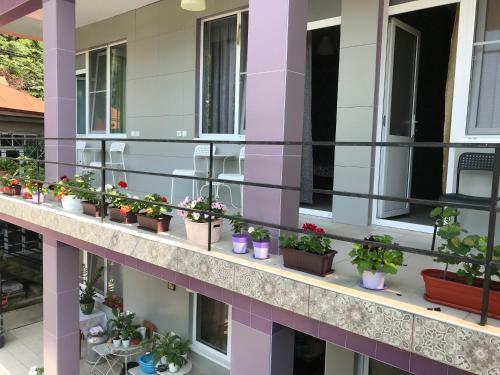 Hostal Guest House Regan