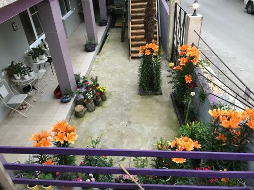Hostal Guest House Regan