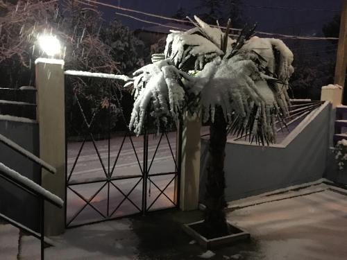 Hostal Guest House Regan