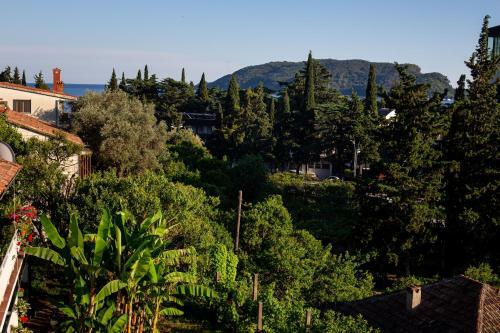 Hostal Villa Vojnic