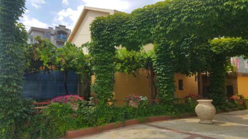 Hostal Garden Apartments