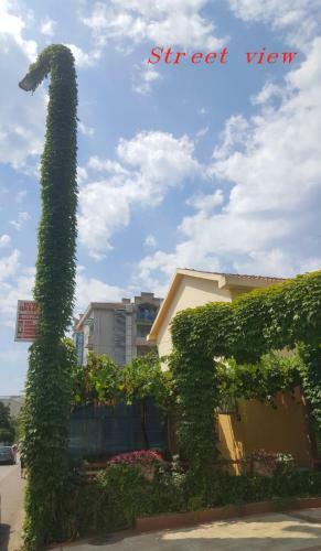 Hostal Garden Apartments