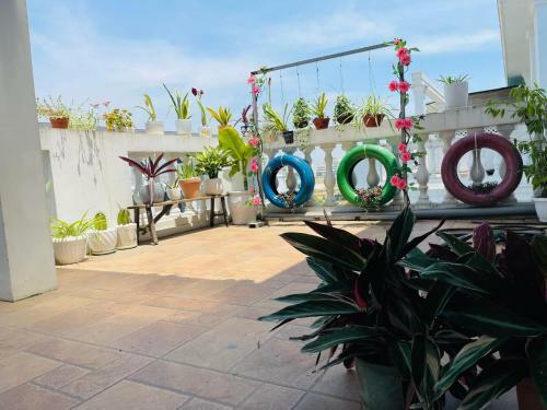 Central Hue Homestay