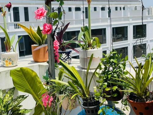Central Hue Homestay