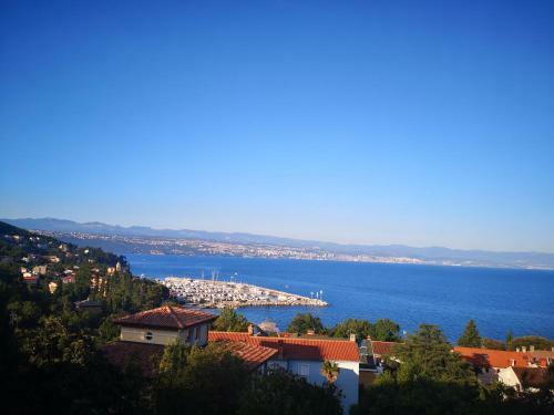 Hostal Villa Salyna Bela Balcony