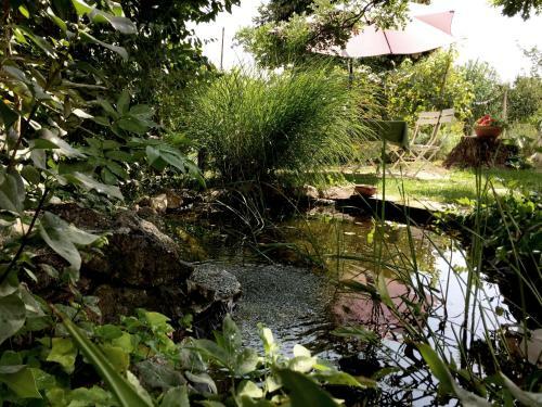 Hell�nyi Apartmanok