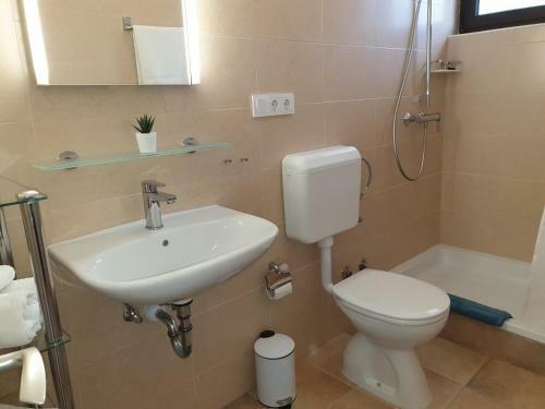Room Suha Punta