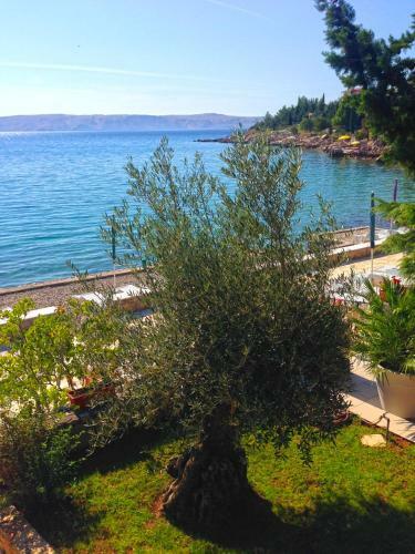 Hostal Apartmani Ribarica****