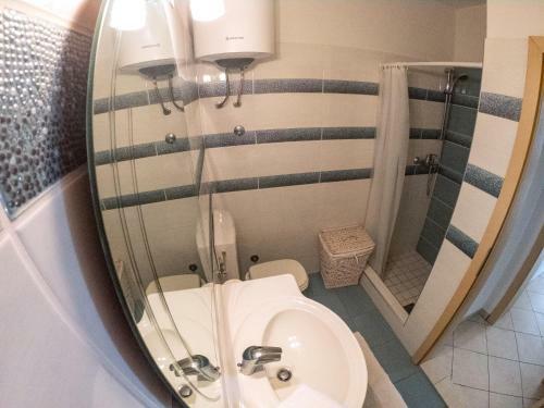 Apartment Branka