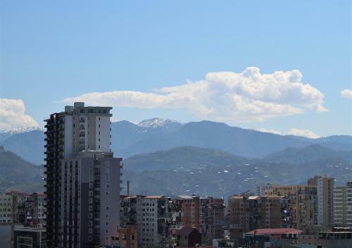 Batumi Sophia's Apartment