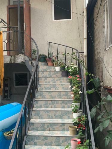 Apartamento House Omari