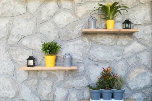 Studio Apartment Lucija