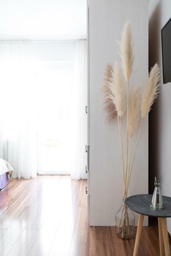 Apartment Jasna