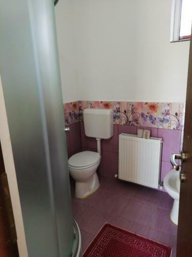 Hostal Pensiunea Mario