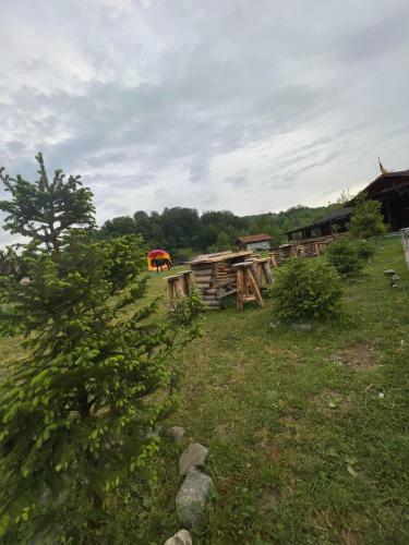 Hostal Pensiunea Domeniul Regal