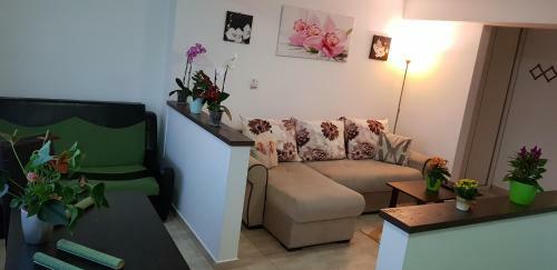 Happy Flowers Apartament